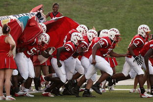 Jiuyou-青少年体育参与行为及其影响机制探讨，青少年体育参与行为及其影响机制探讨论文